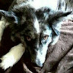 Meet your Posher, Jerry